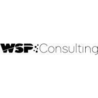 wsp-consulting gmbh logo image