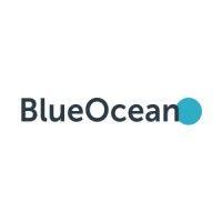 blueocean ai logo image