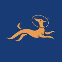 whippet digital logo image