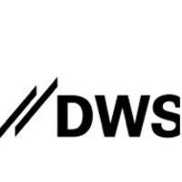 dws international gmbh logo image