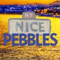 nice pebbles properties logo image