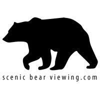 scenic bear viewing logo image