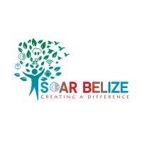 soarbelize logo image