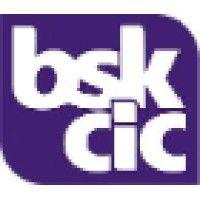 bsk-cic logo image