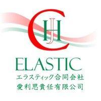 elastic llc logo image