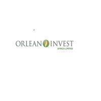 orlean invest africa