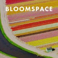 bloomspace llc logo image