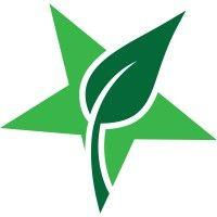 green star of interior alaska logo image