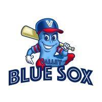 valley blue sox logo image