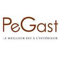 pegast logo image