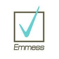 emmess srl executive consulting logo image