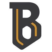 bellevue independent schools logo image