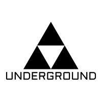 the underground chicago logo image