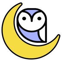 nightowl consulting logo image