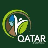 qatar comercializadora