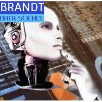 brandt data science logo image