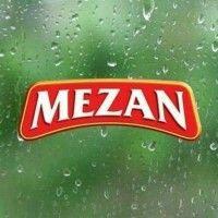 mezan group logo image