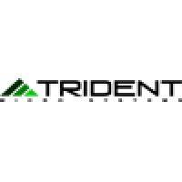 trident micro systems logo image