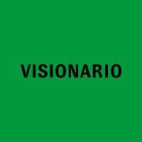 visionario logo image