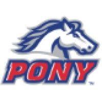 mclean county pony baseball logo image