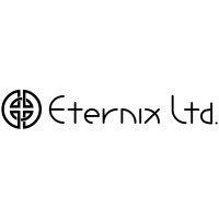 eternix ltd. logo image