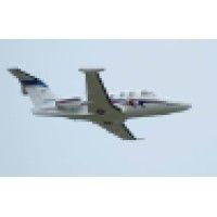 memley aviation, inc. personal air charter logo image