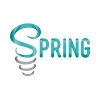 spring strategies logo image