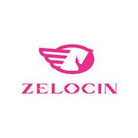 zelocin & partners llc logo image