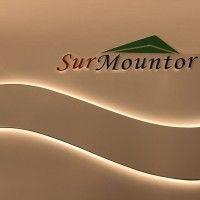 surmountor lighting  co. ltd logo image