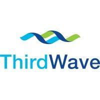 third wave systems logo image