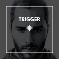 trigger logo image