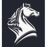 shadowfax capital logo image