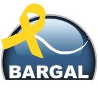 bargal analytical instruments logo image