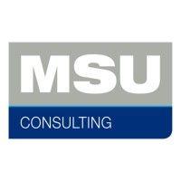 msu group logo image