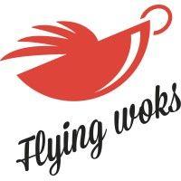 flying woks australia pty ltd logo image