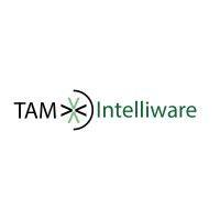 tam intelliware logo image