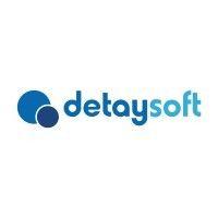 detaysoft logo image