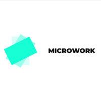 microwork.io logo image