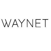 waynet ecommerce logo image