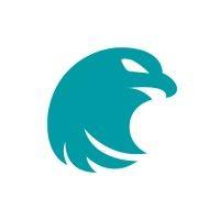 screening eagle technologies logo image