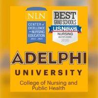 adelphi university college of nursing and public health logo image