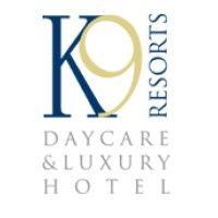 k-9 resorts daycare & luxury hotel