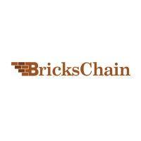 brickschain logo image