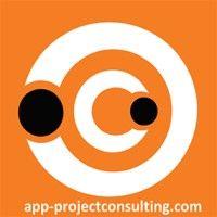 app consultoría - powering project success & digital enablement