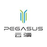 pegasus technology holdings, inc. logo image