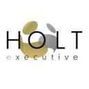 logo of Holt Executive Ltd