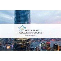 molly management consulting ltd co logo image