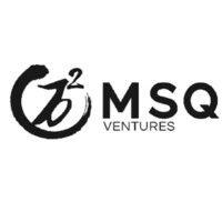 msq ventures logo image