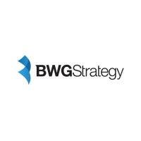 bwg strategy llc logo image