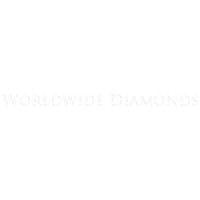 worldwide diamond inc logo image